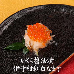 いごっそう 土佐おせち いくら醤油漬伊予柑紅白なます